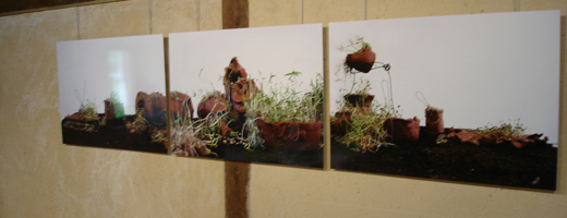 DSC05365 DSC05365